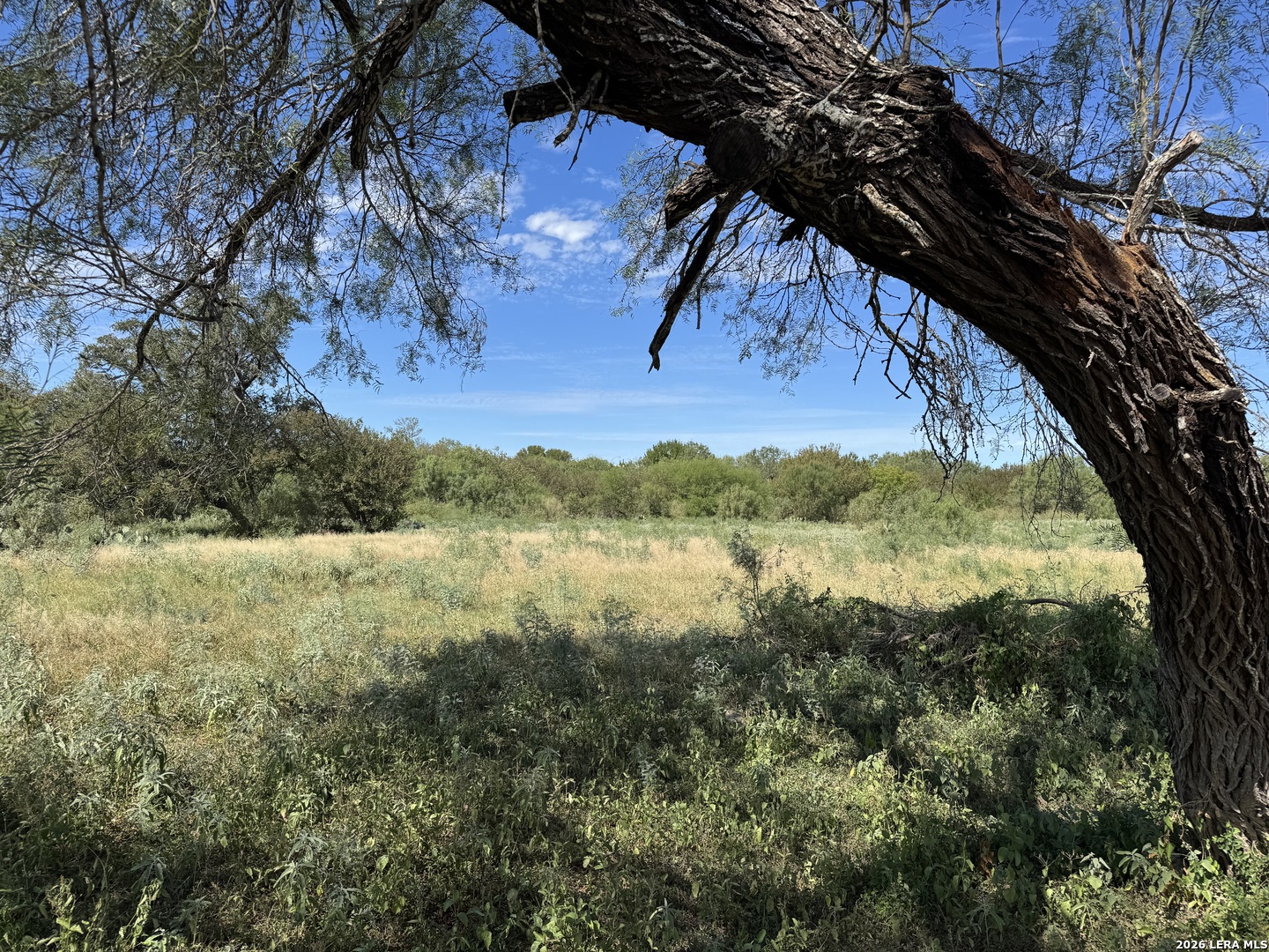600 Rio Street Uvalde TX 78801