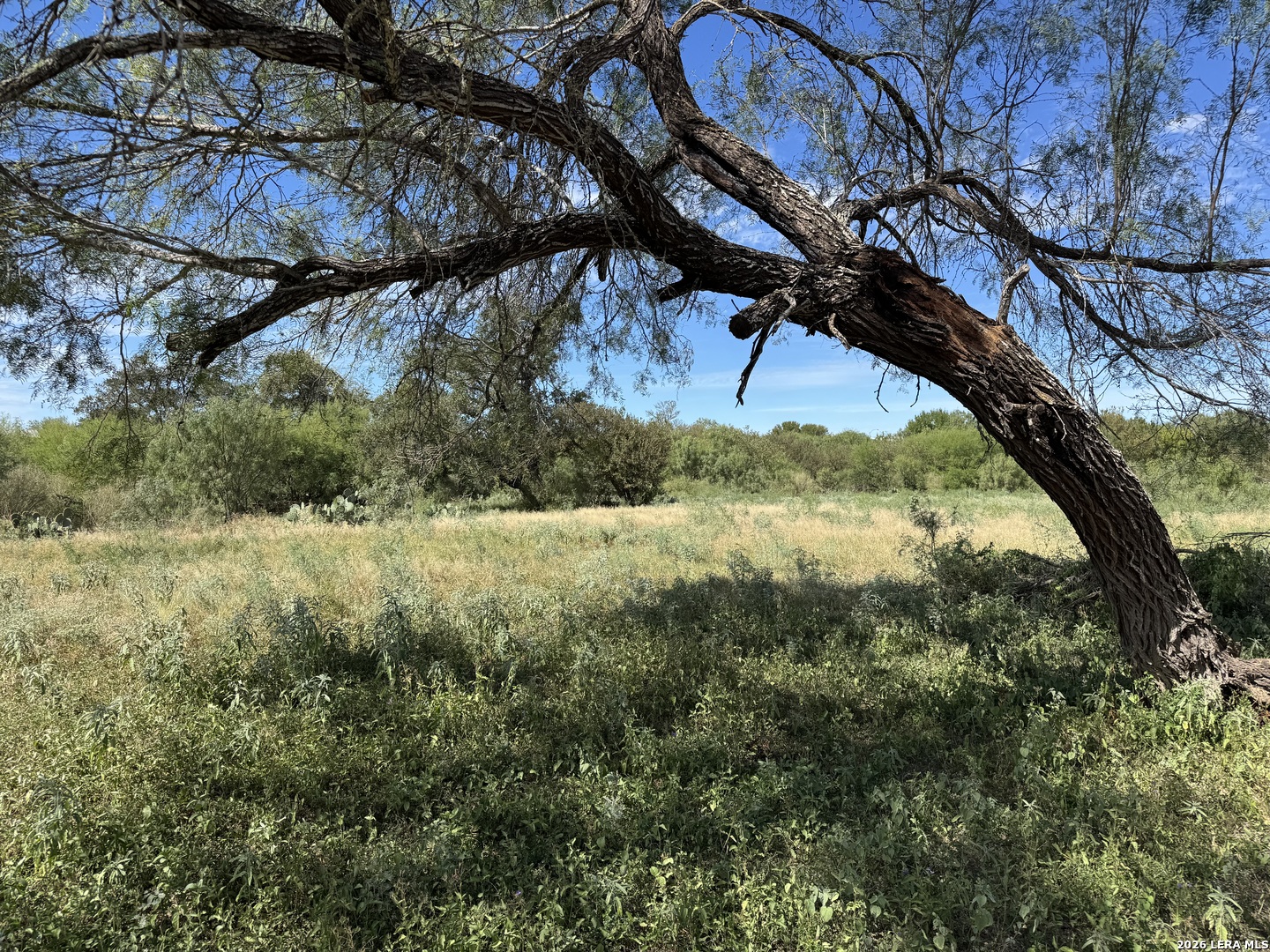 600 Rio Street Uvalde TX 78801