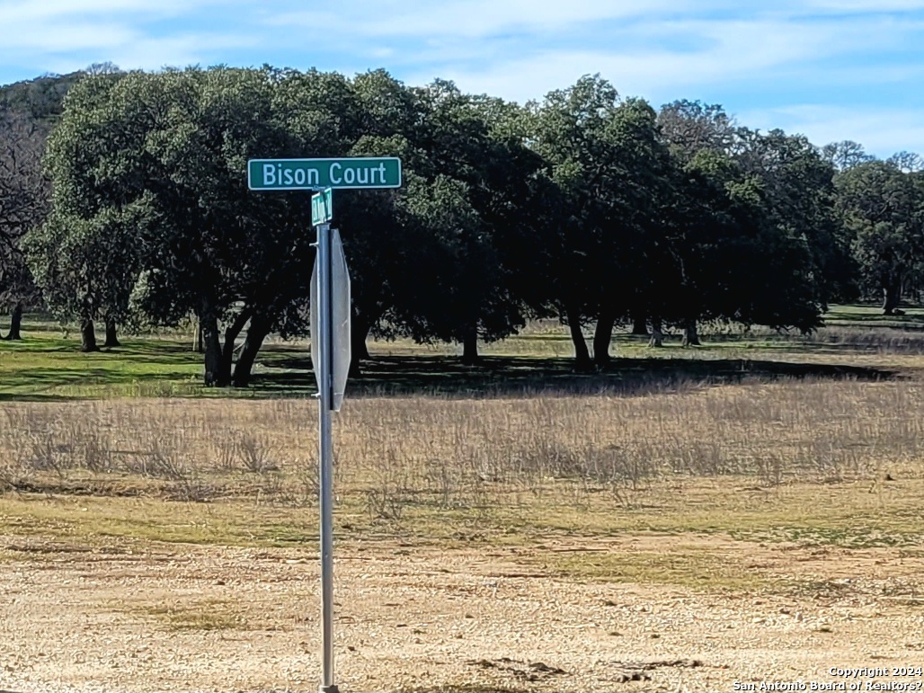 Lot 29 SW Bison Court Pipe Creek TX 78063