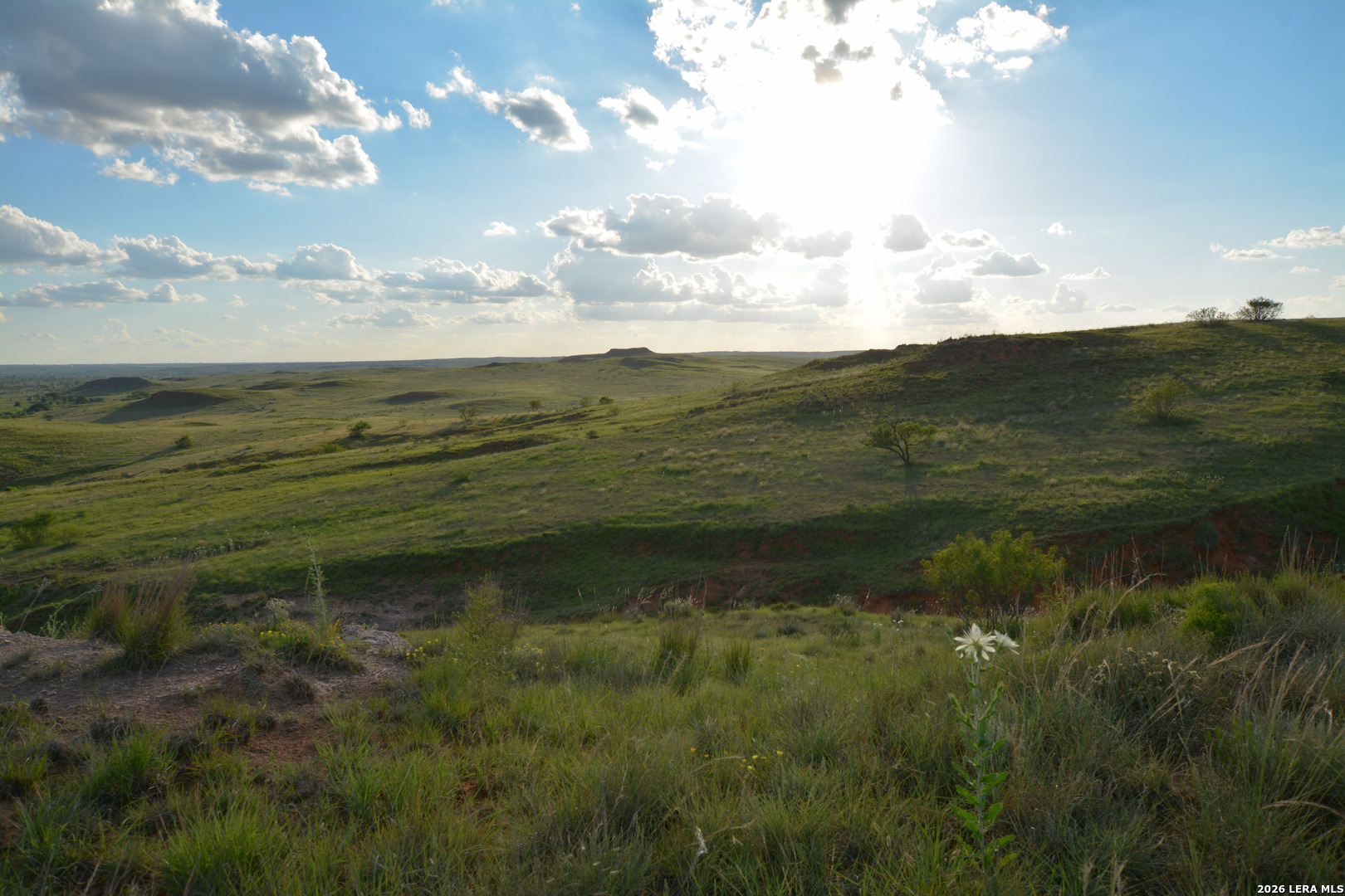 Tbd Cr 3 Shamrock TX 79079