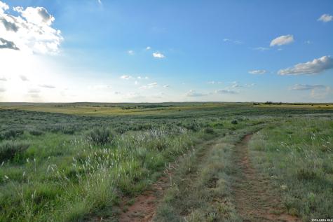 Tbd Cr 3 Shamrock TX 79079