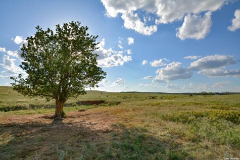 Tbd Cr 3 Shamrock TX 79079