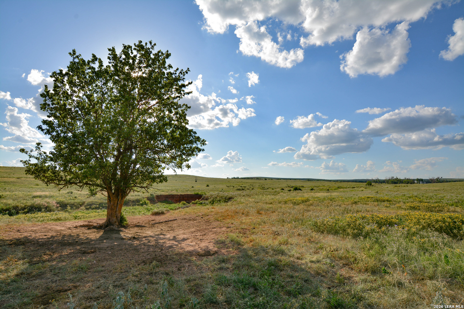 Tbd Cr 3 Shamrock TX 79079