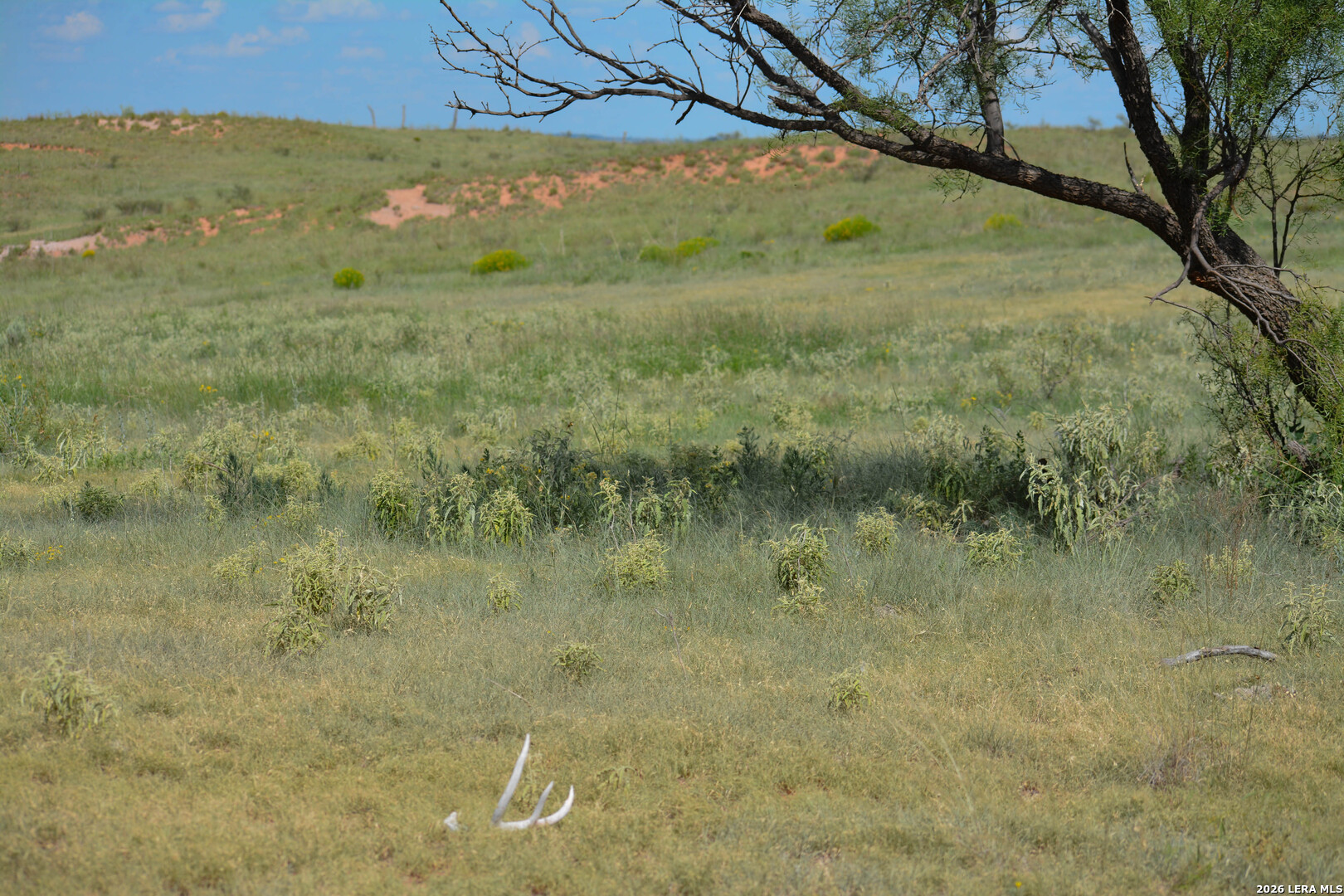 Tbd Cr 3 Shamrock TX 79079