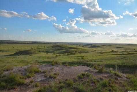 Tbd Cr 3 Shamrock TX 79079