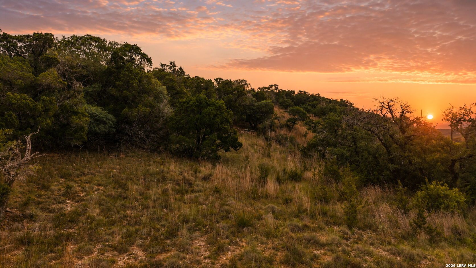 L92 Billings Forest Boerne TX 78006
