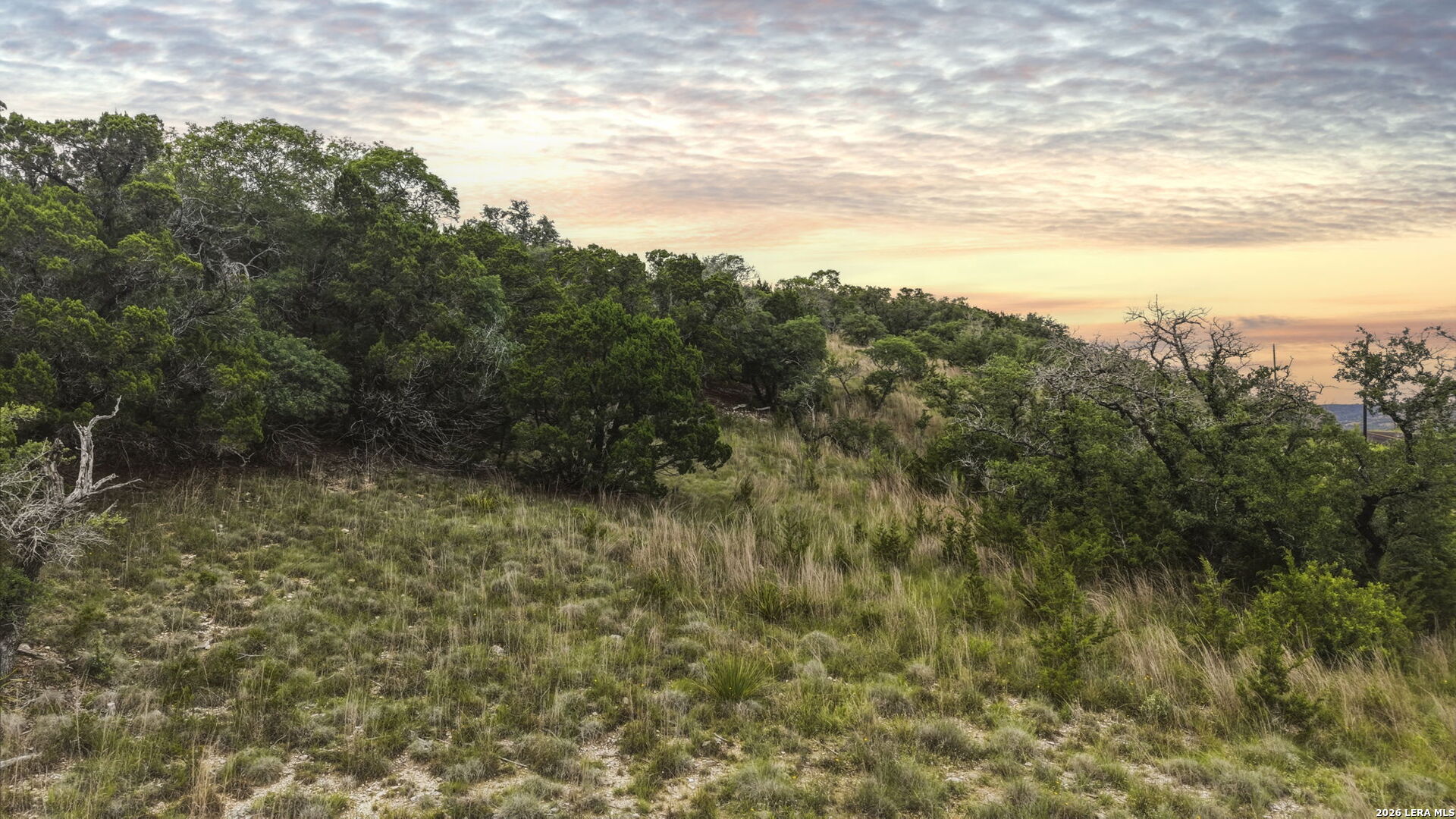 L92 Billings Forest Boerne TX 78006