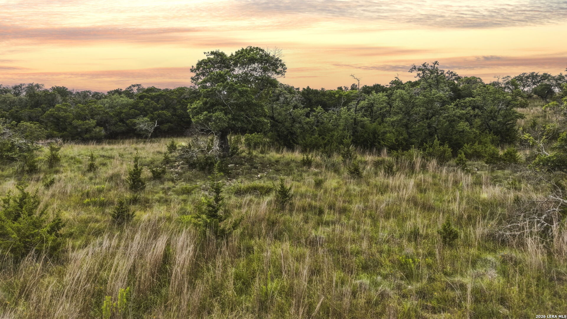 L92 Billings Forest Boerne TX 78006