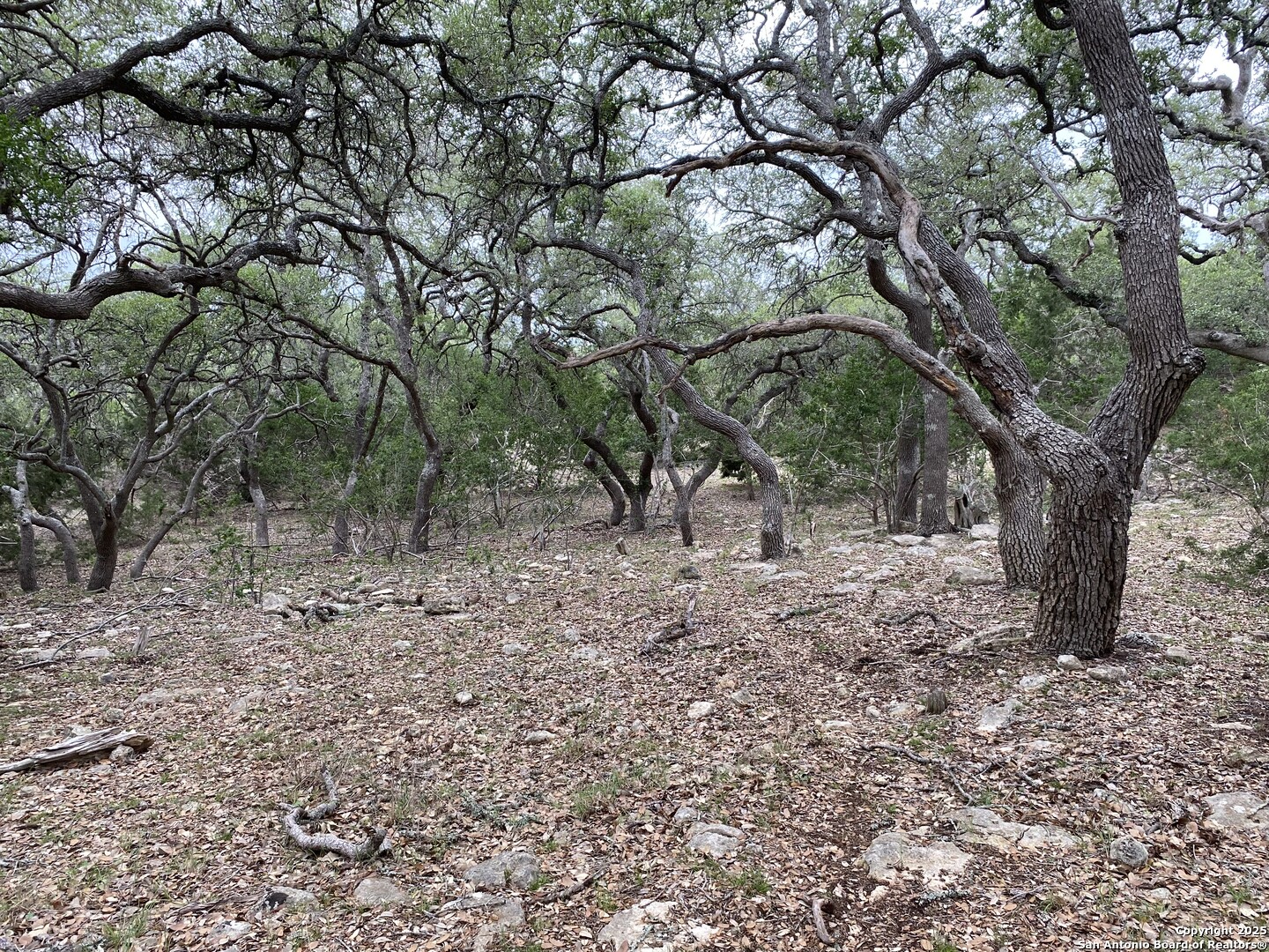 42 Rust Lane Boerne TX 78006