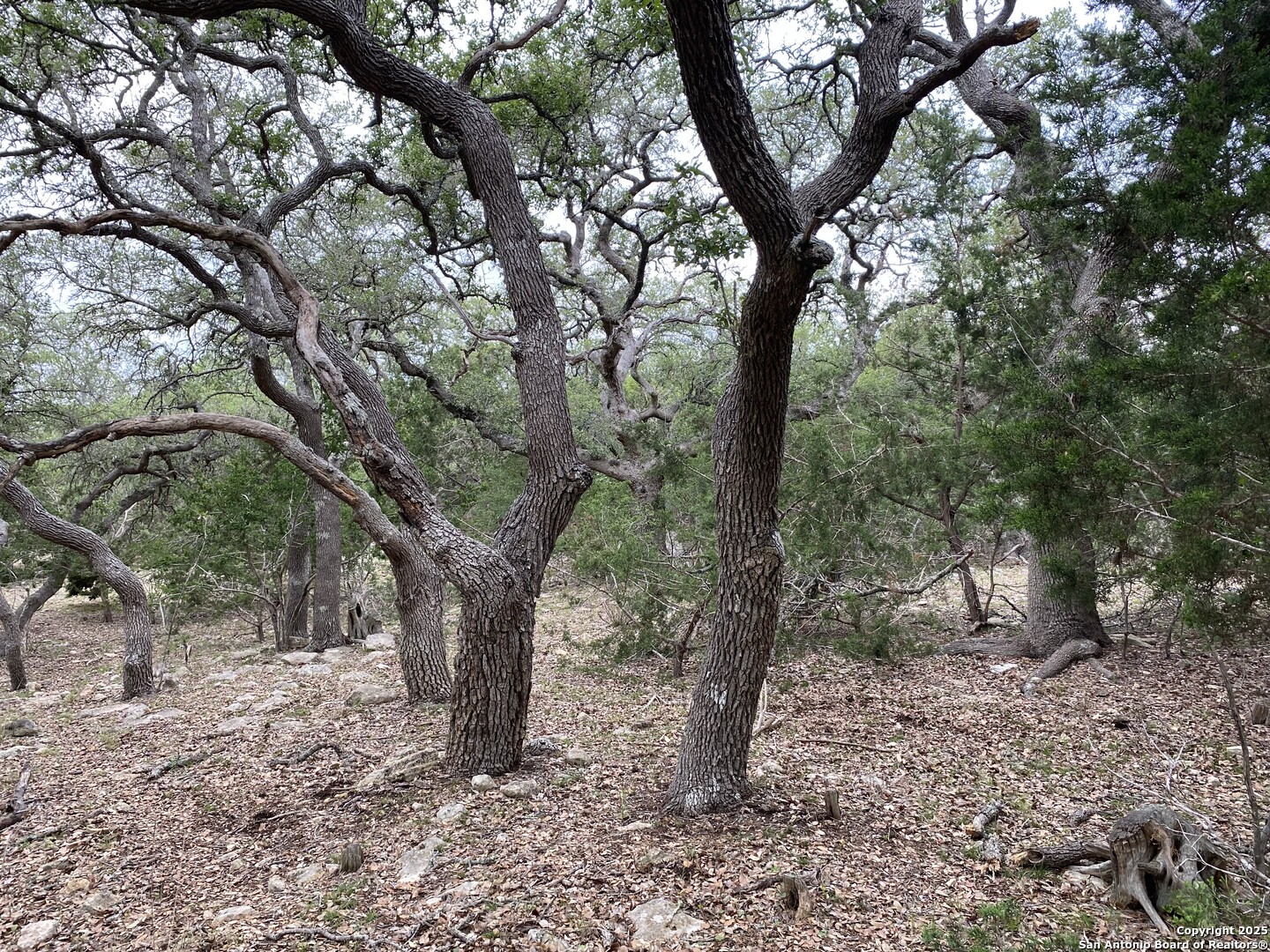 42 Rust Lane Boerne TX 78006