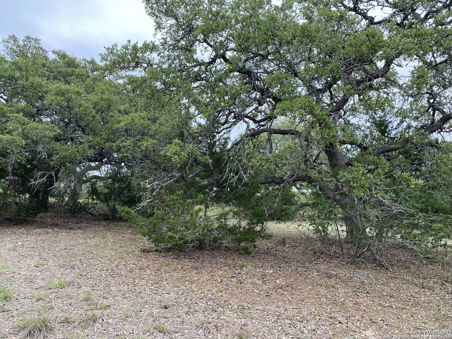 42 Rust Lane Boerne TX 78006