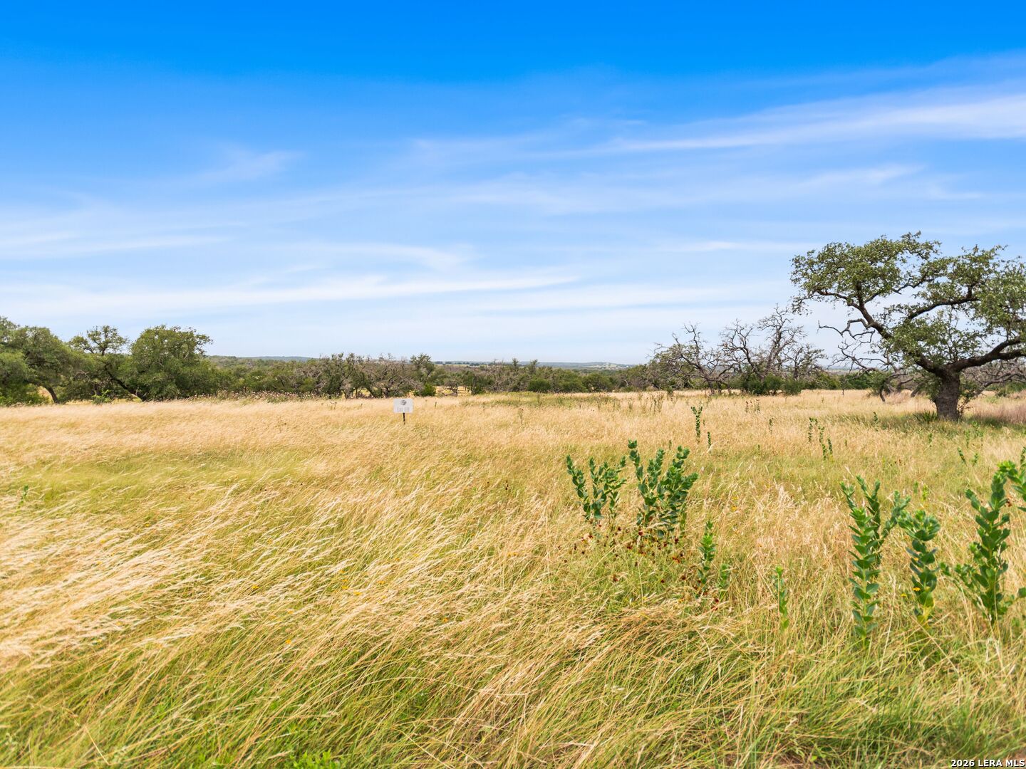 Lot 88 Axis Circle Fredericksburg TX 78624