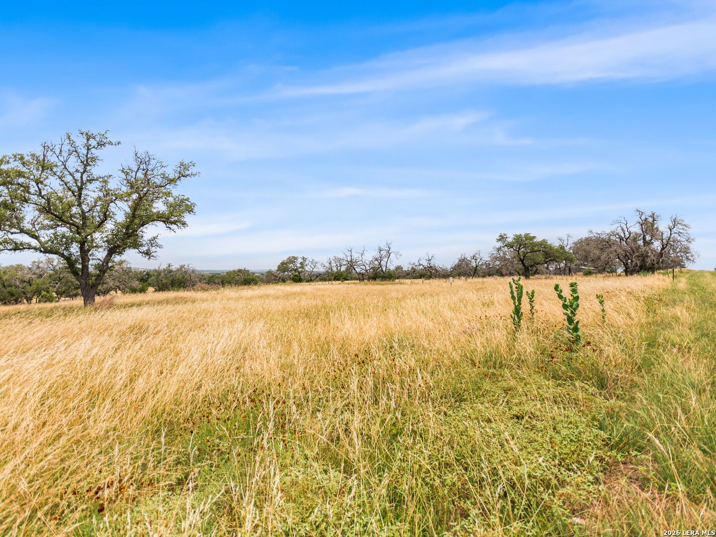 Lot 88 Axis Circle Fredericksburg TX 78624