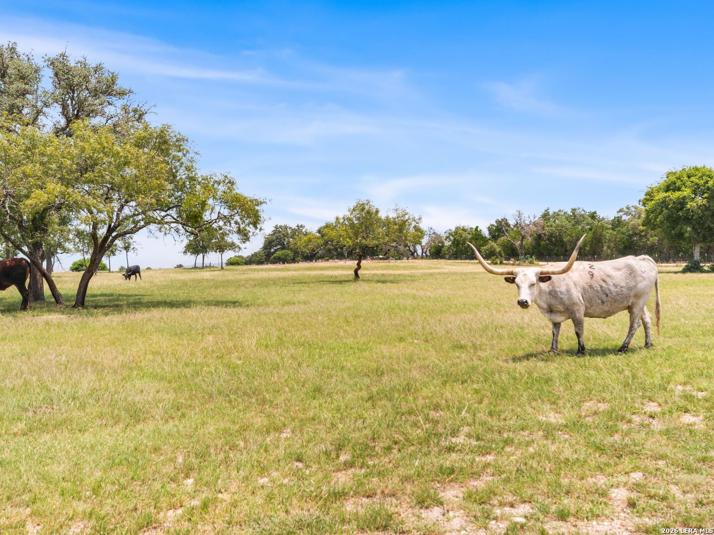 Lot 88 Axis Circle Fredericksburg TX 78624