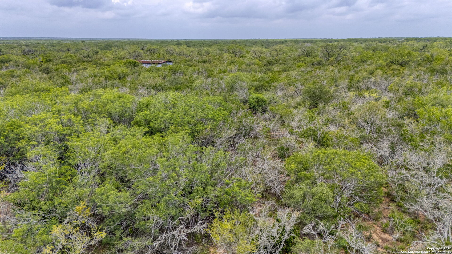000 Cr 332 A Jourdanton TX 78026