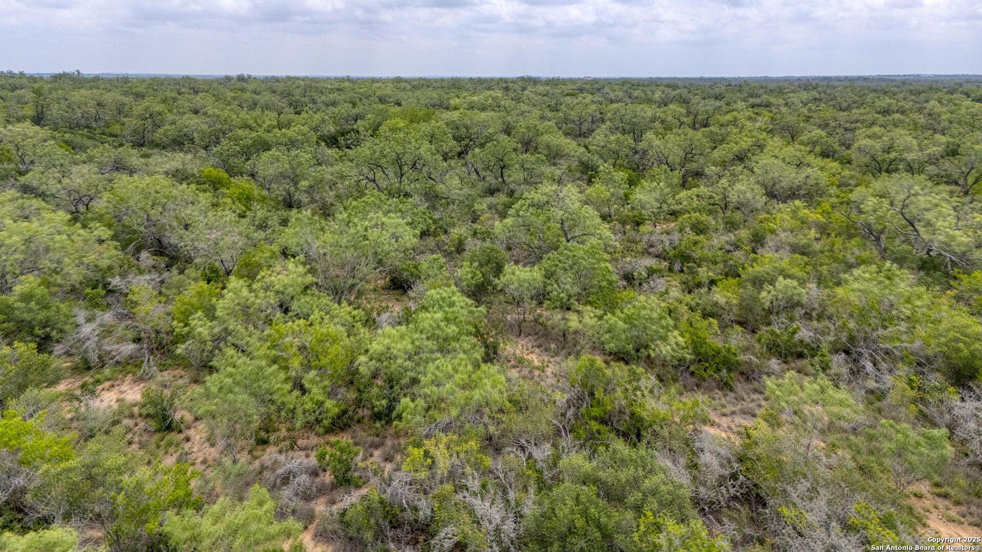 000 Cr 332 A Jourdanton TX 78026