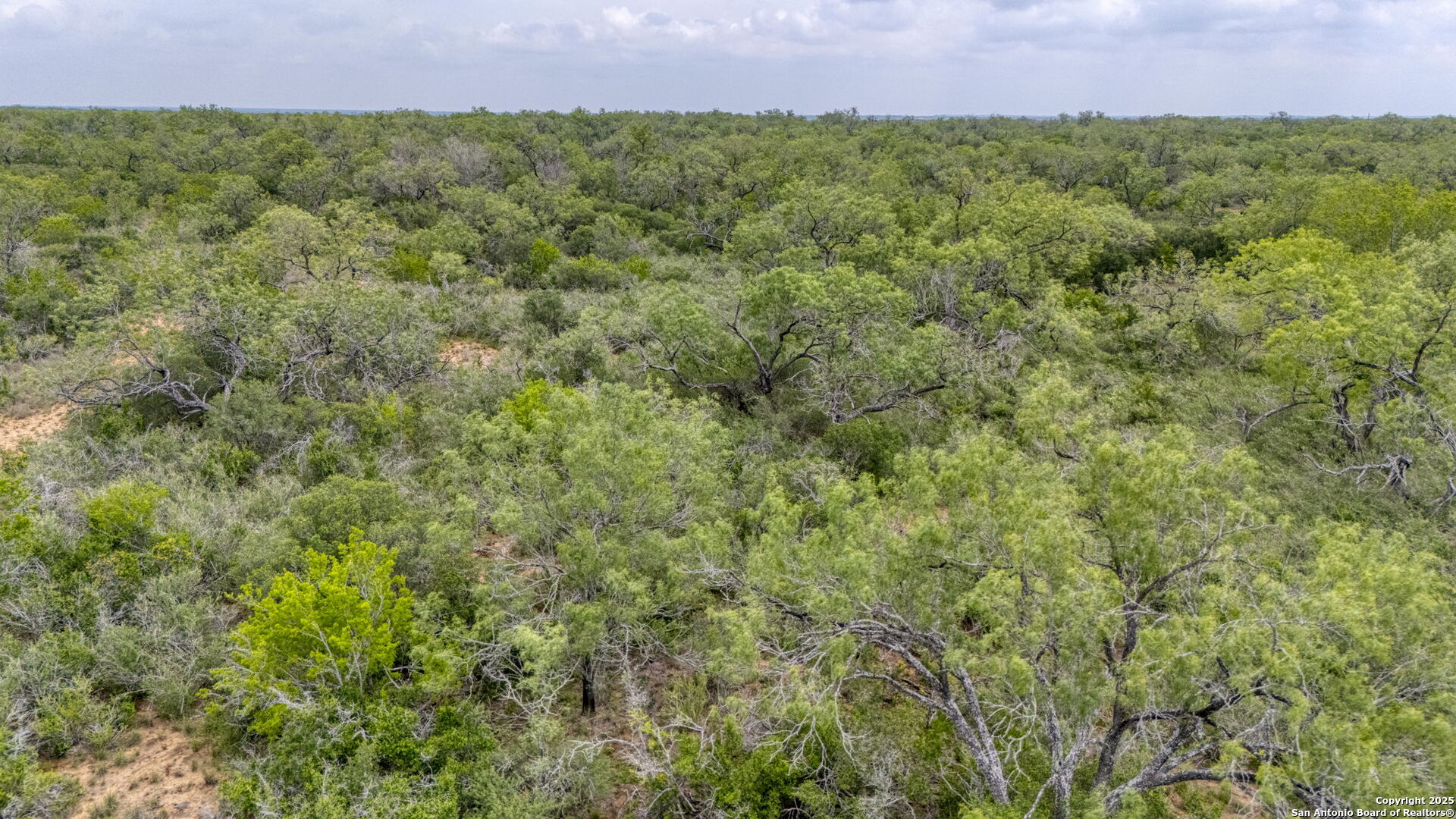 000 Cr 332 A Jourdanton TX 78026