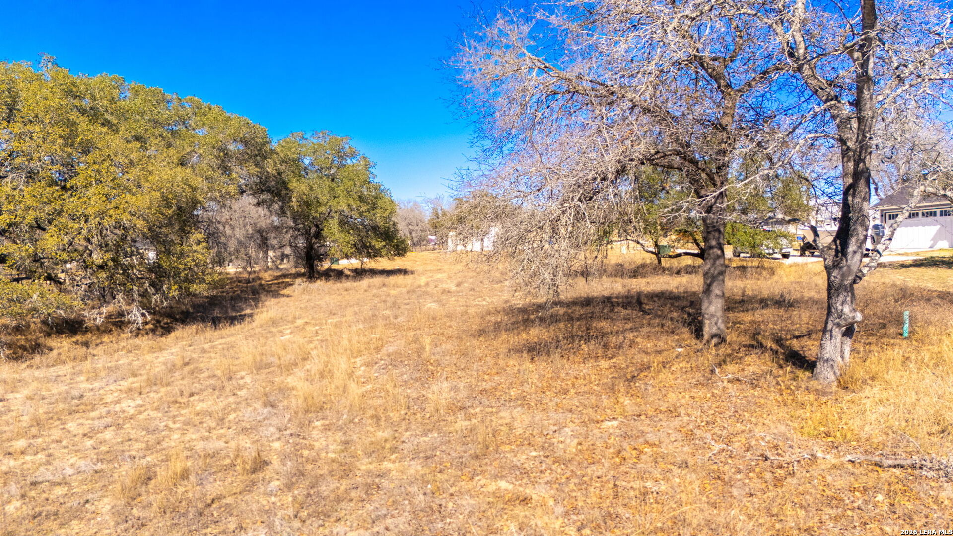 109 Calvary Drive Adkins TX 78101