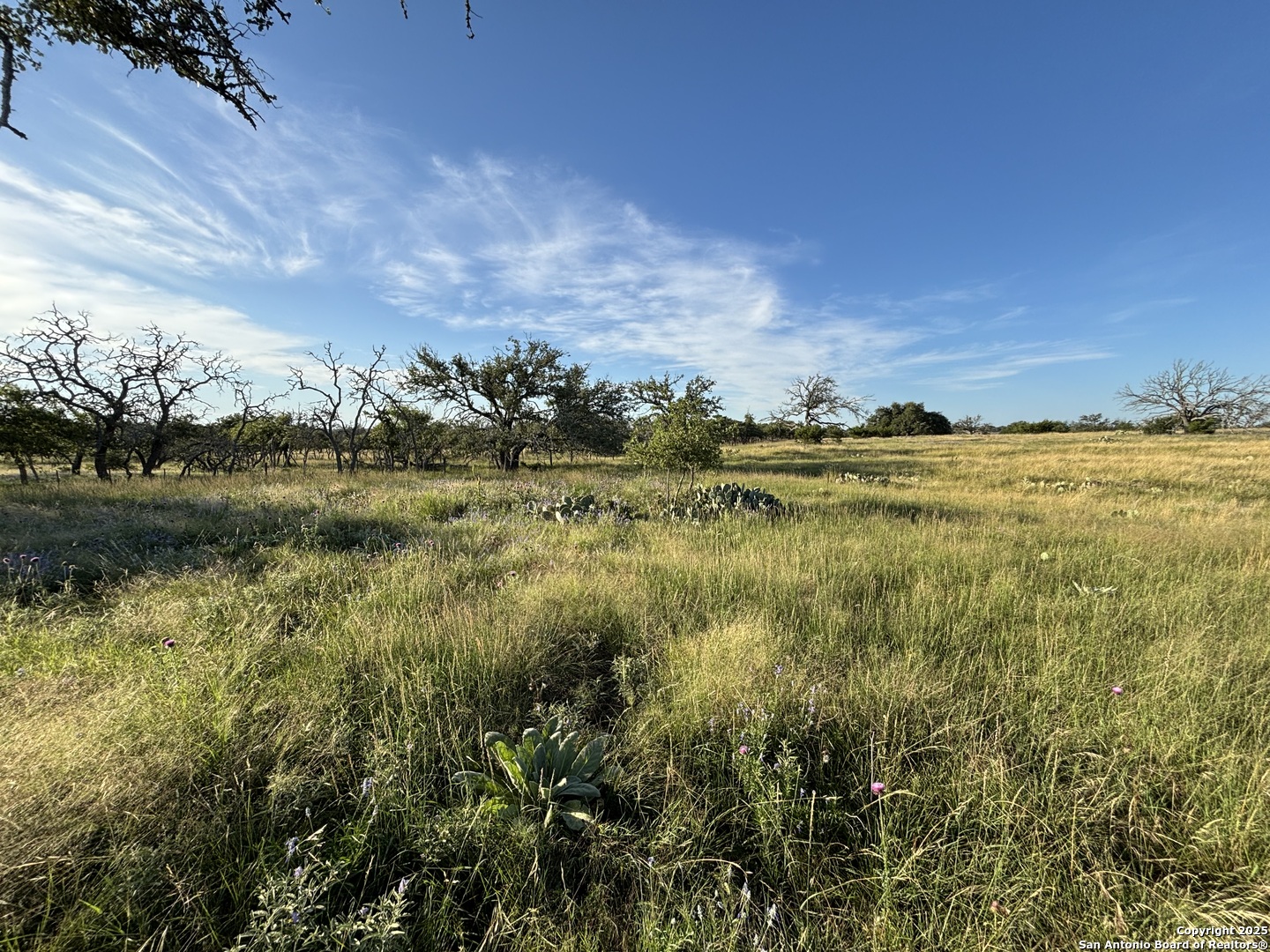 183 Lipan Loop Harper TX 78631