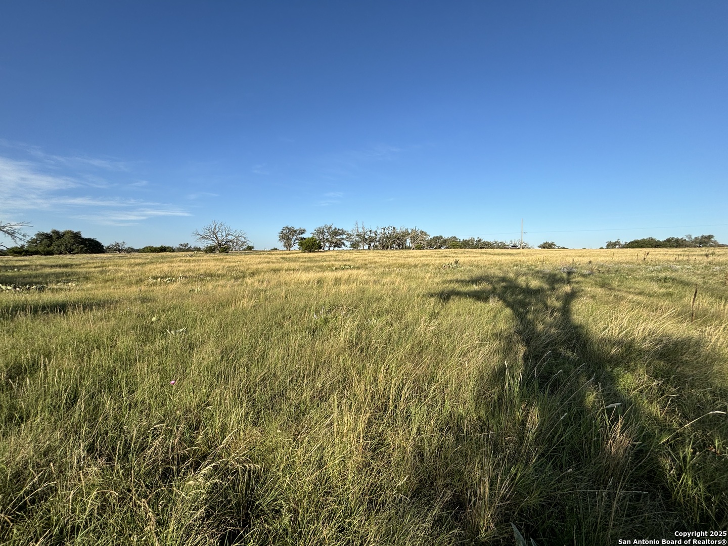 183 Lipan Loop Harper TX 78631