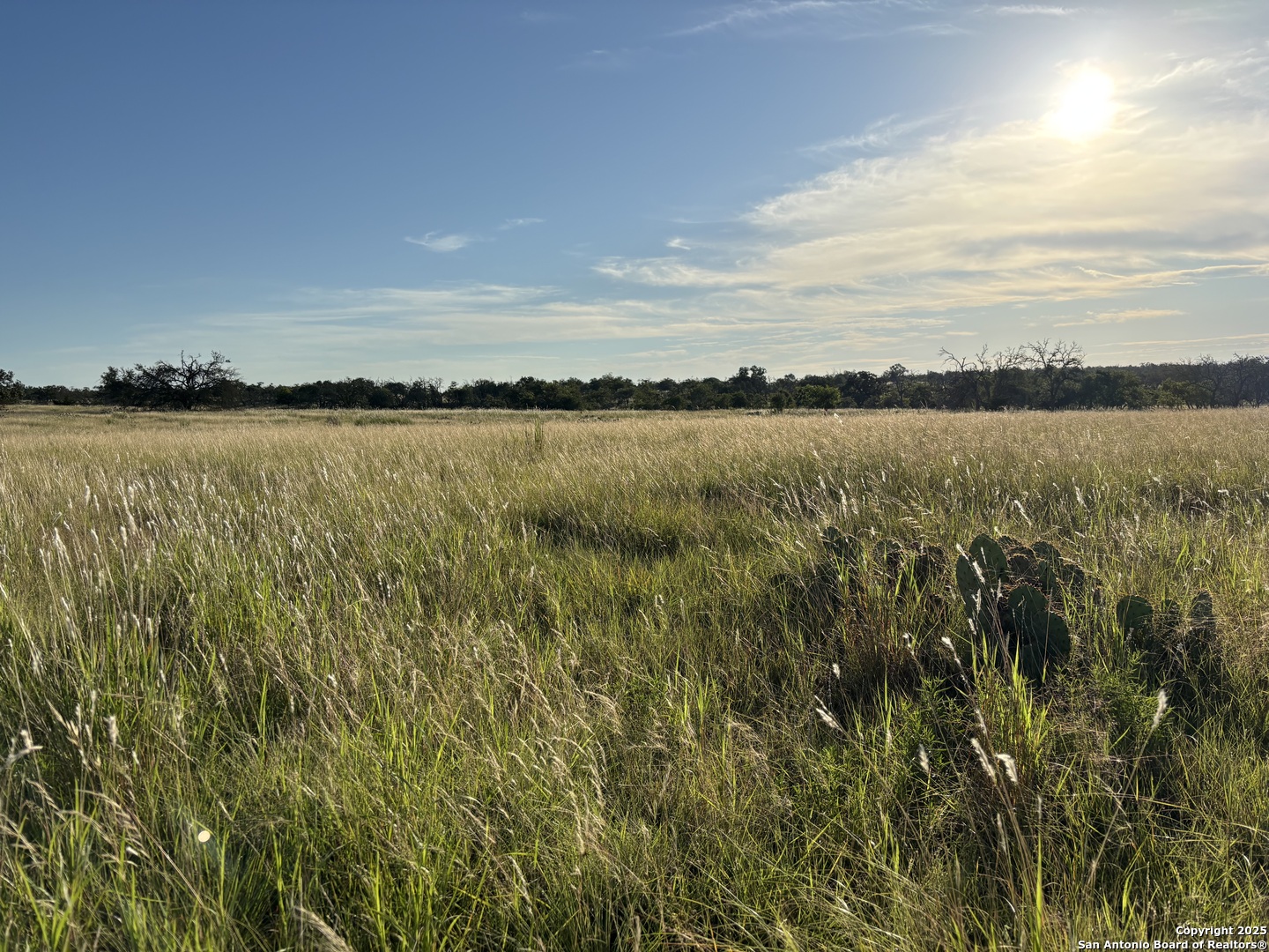 183 Lipan Loop Harper TX 78631