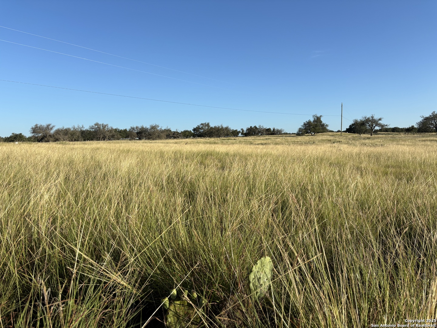 183 Lipan Loop Harper TX 78631