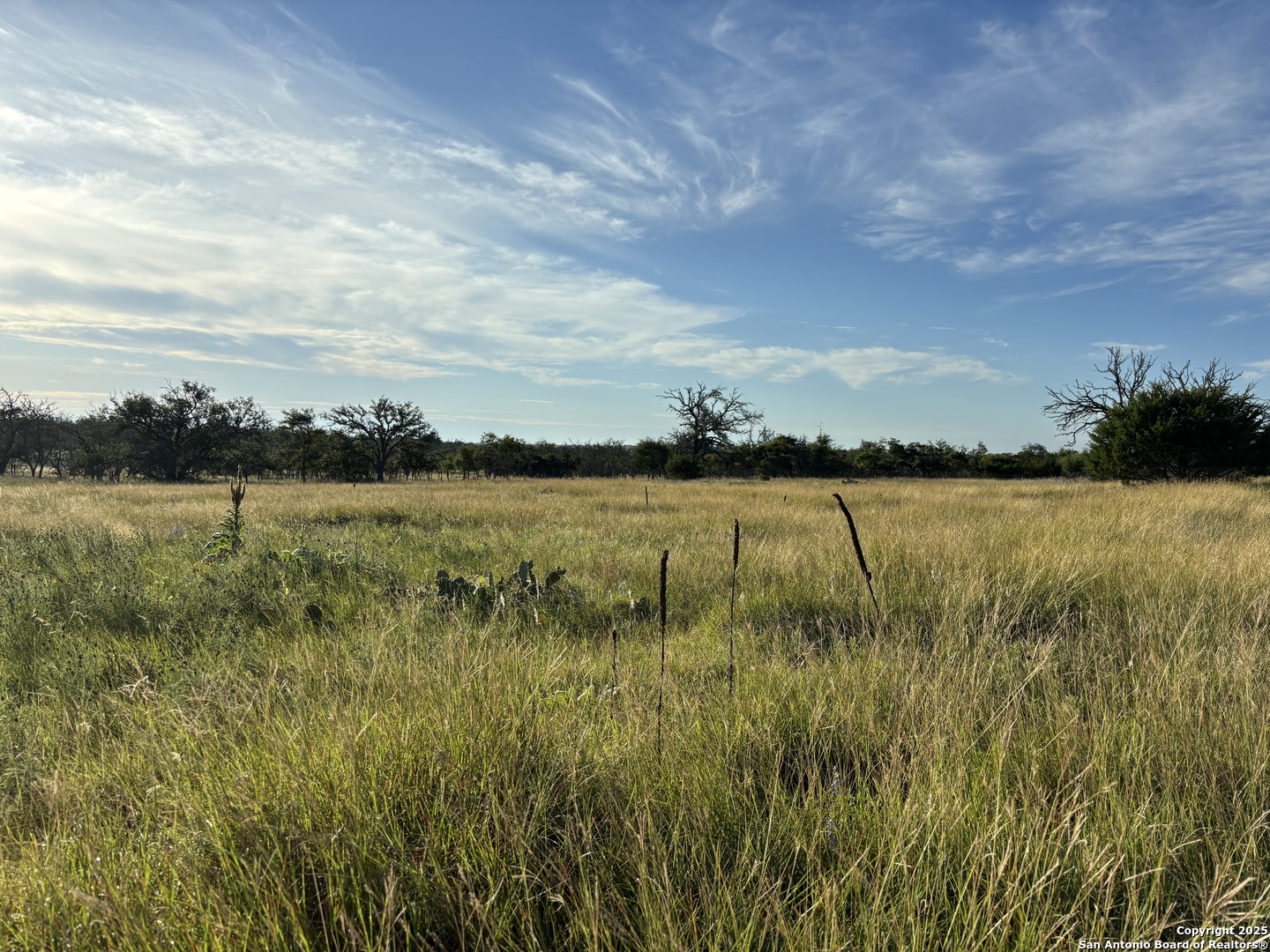 183 Lipan Loop Harper TX 78631