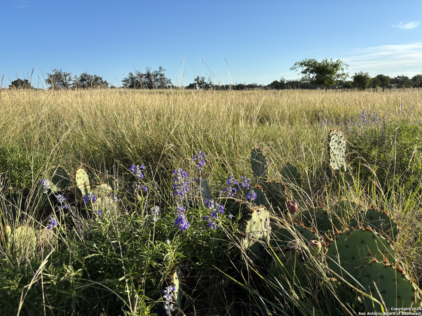 183 Lipan Loop Harper TX 78631
