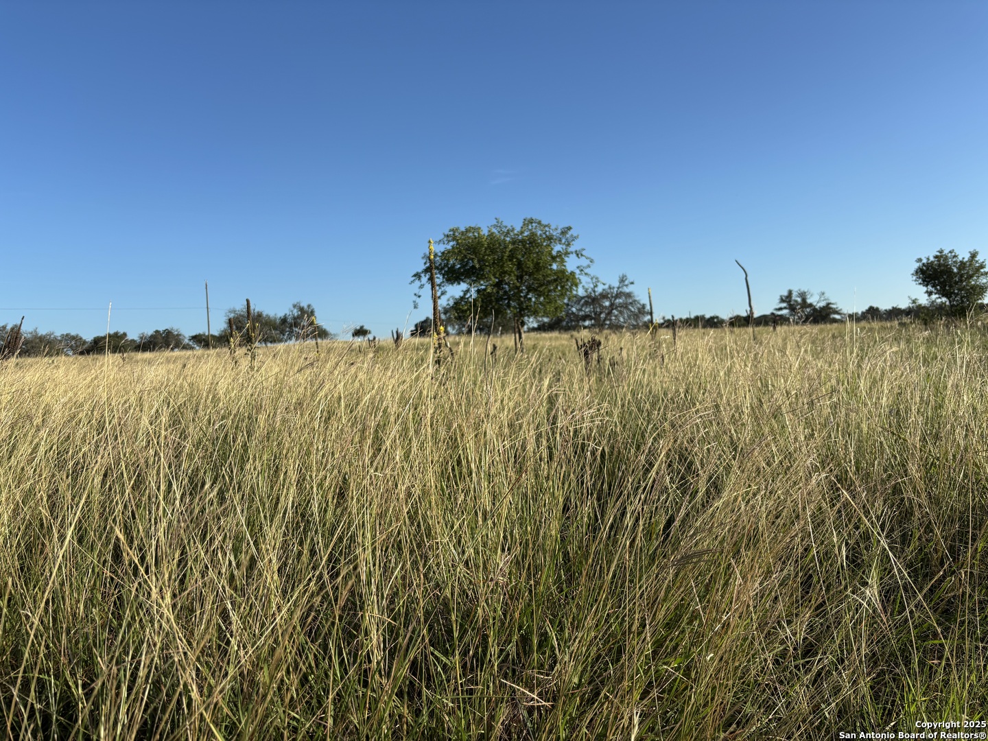183 Lipan Loop Harper TX 78631