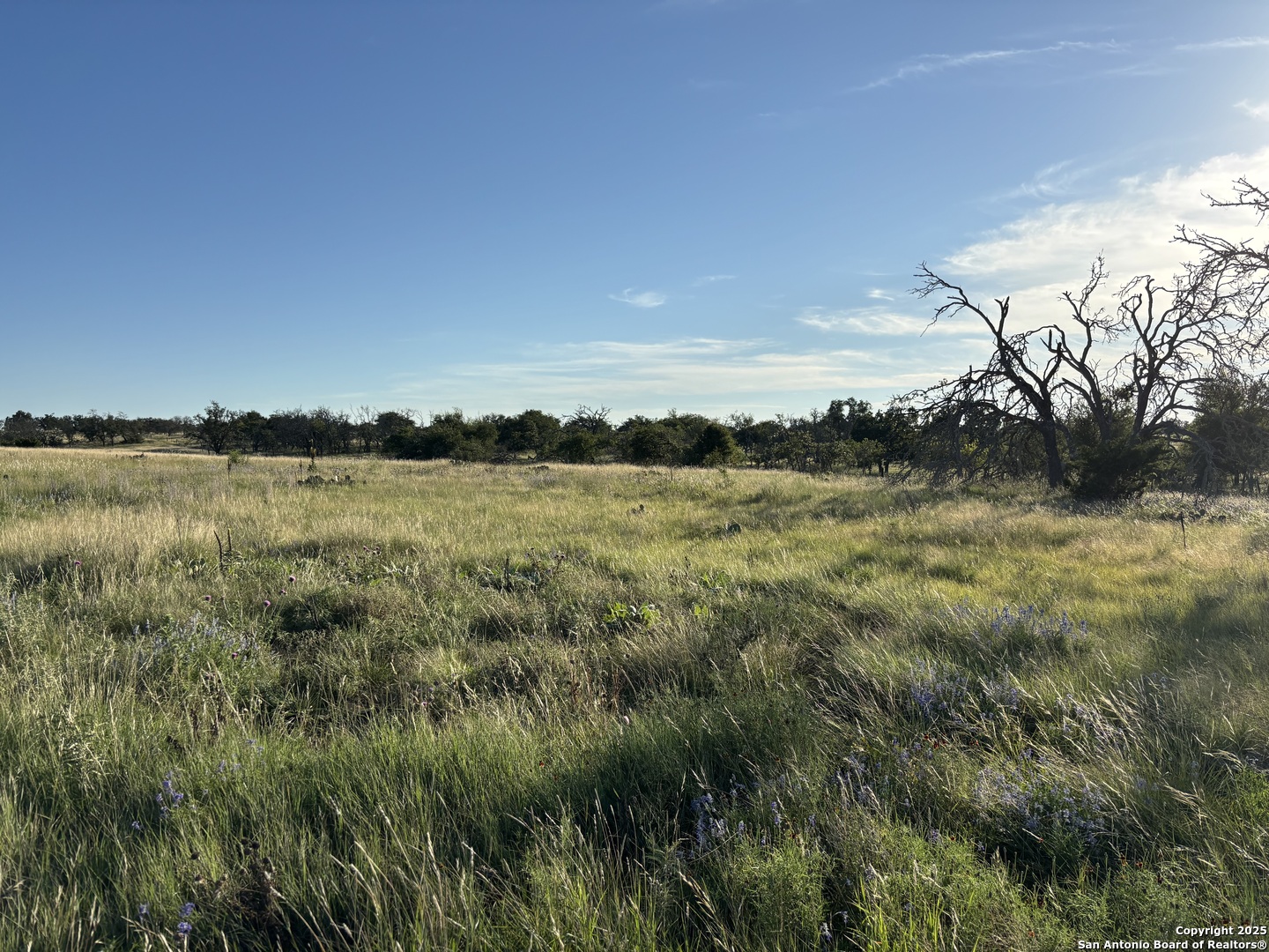 183 Lipan Loop Harper TX 78631