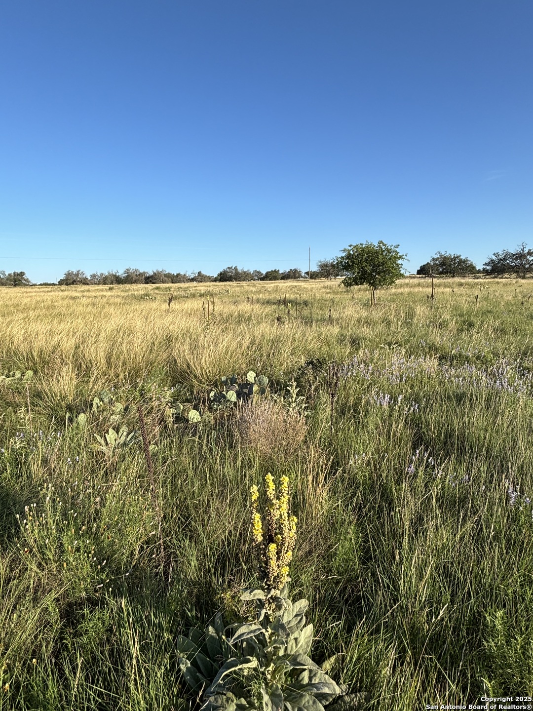 183 Lipan Loop Harper TX 78631