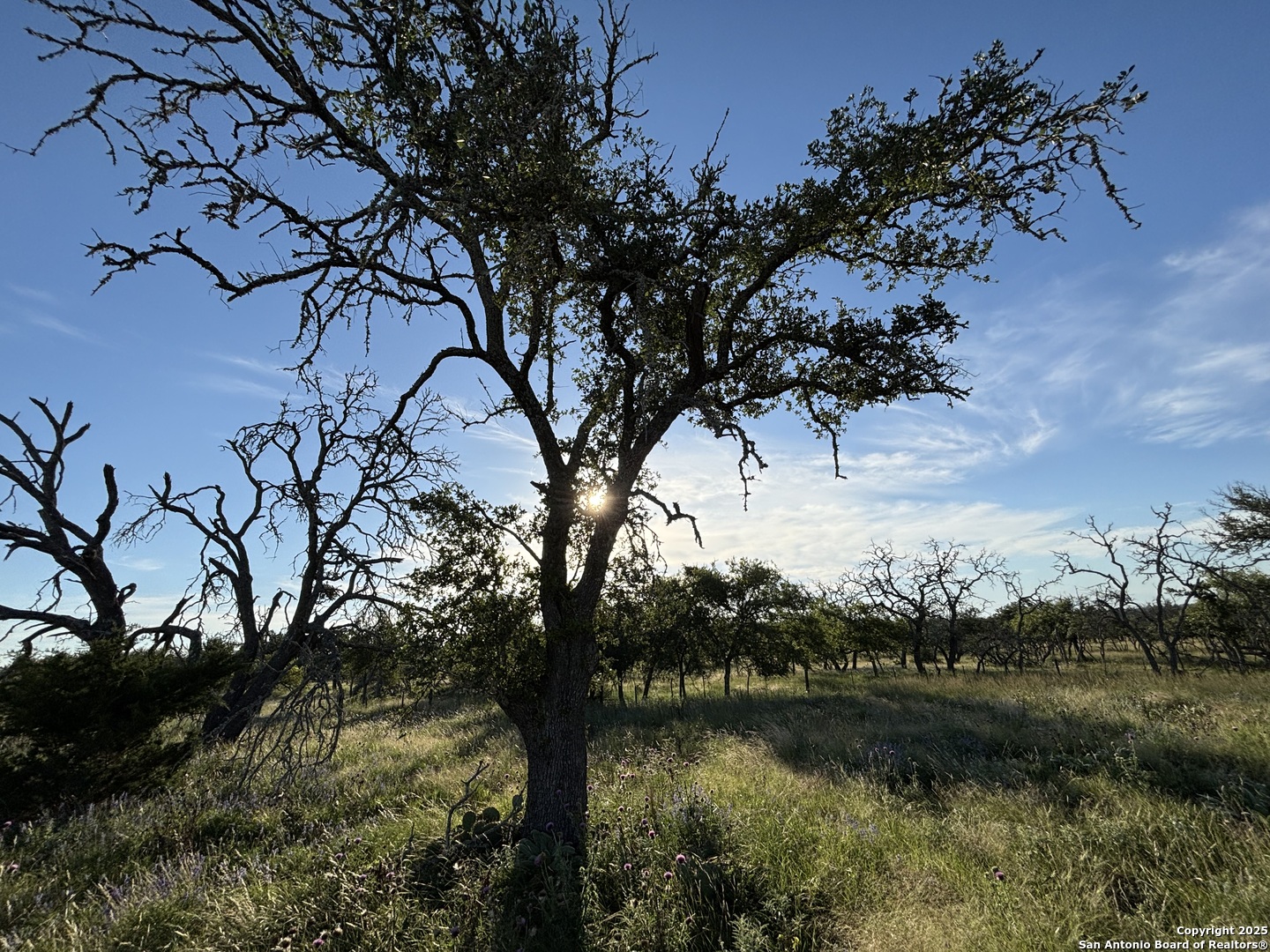 183 Lipan Loop Harper TX 78631