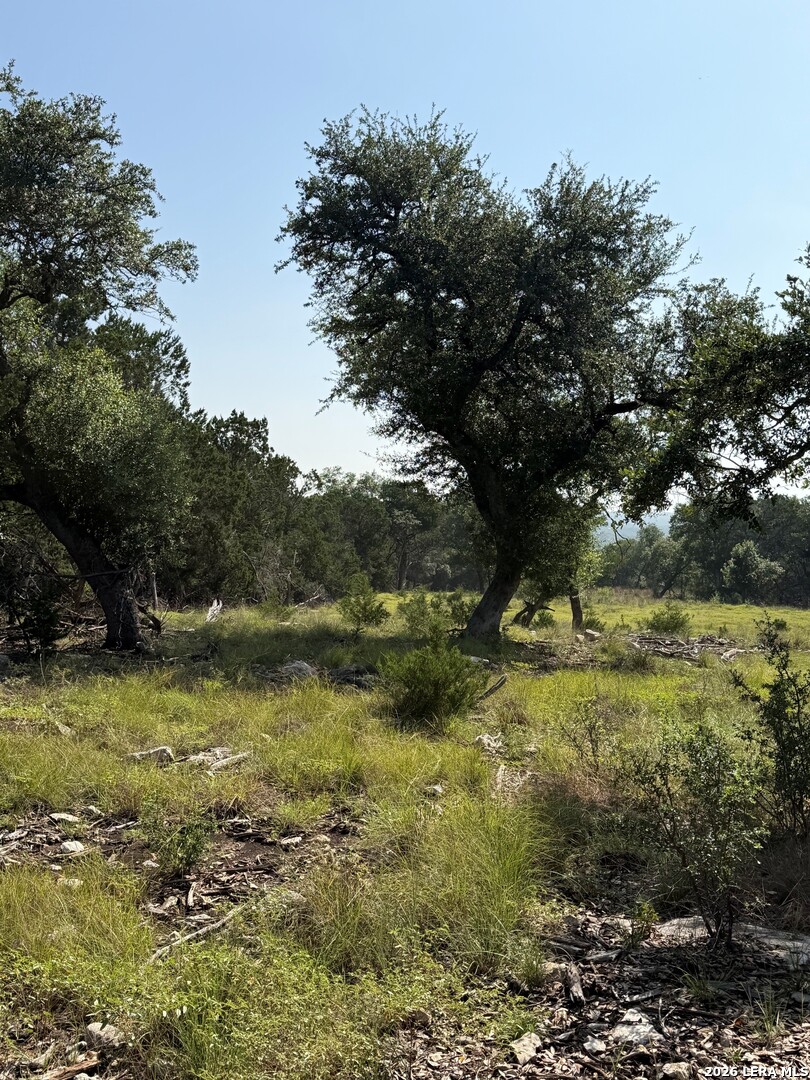 33 Sotol Boerne TX 78006