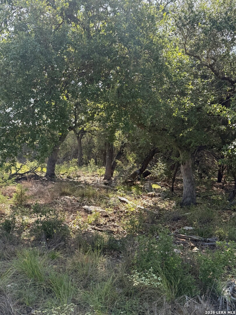 33 Sotol Boerne TX 78006