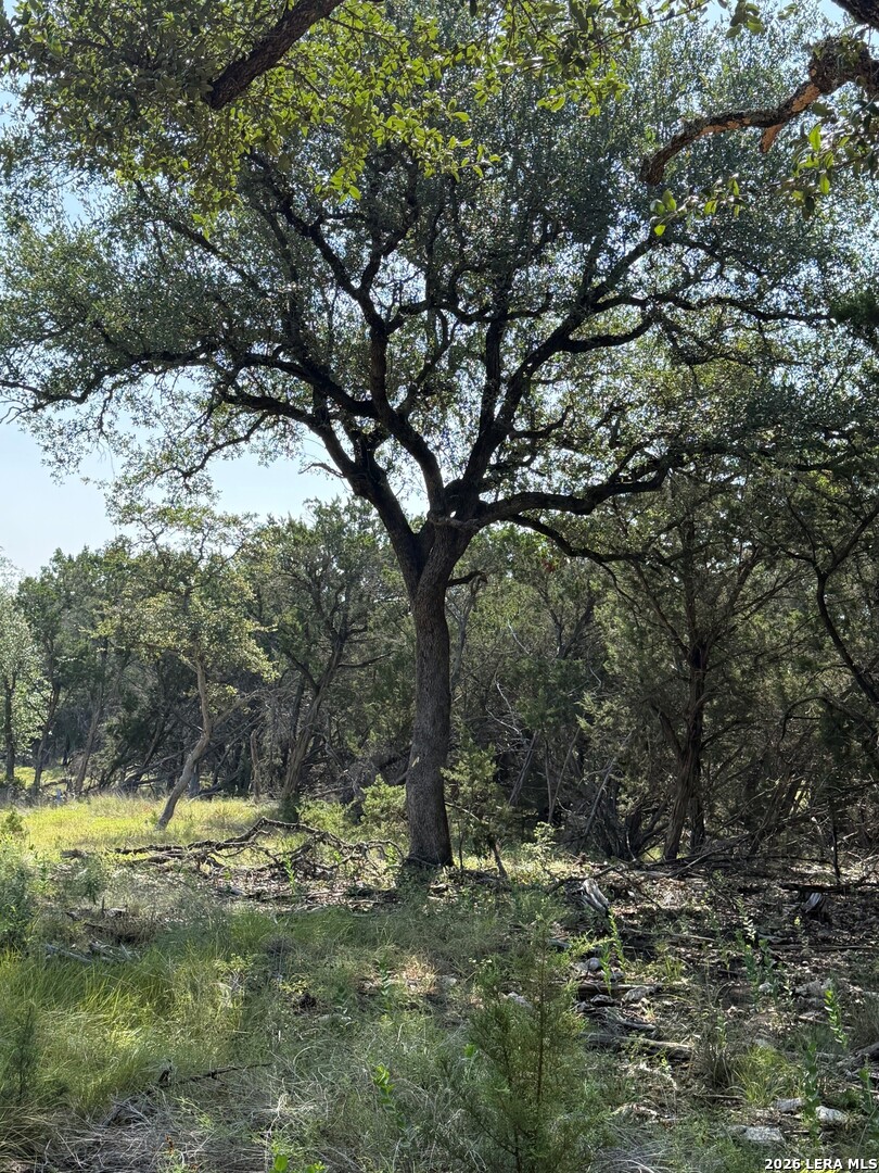 33 Sotol Boerne TX 78006