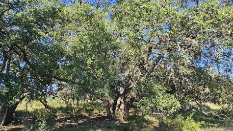 Lot 356 Palomino Springs Bandera TX 78003
