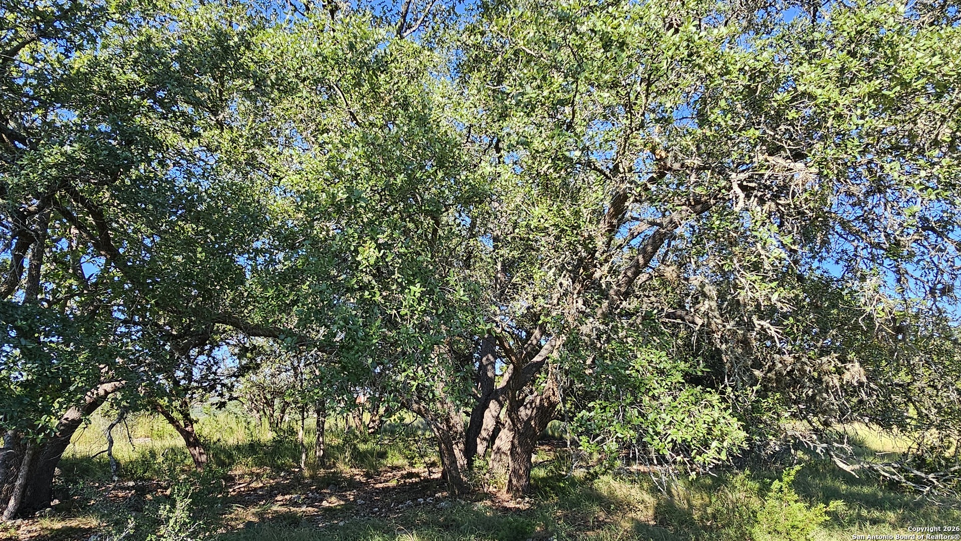 Lot 356 Palomino Springs Bandera TX 78003