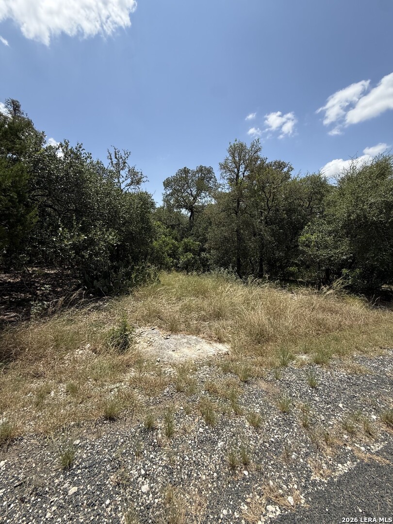 13518 Deer Meadow Lane San Antonio TX 78253