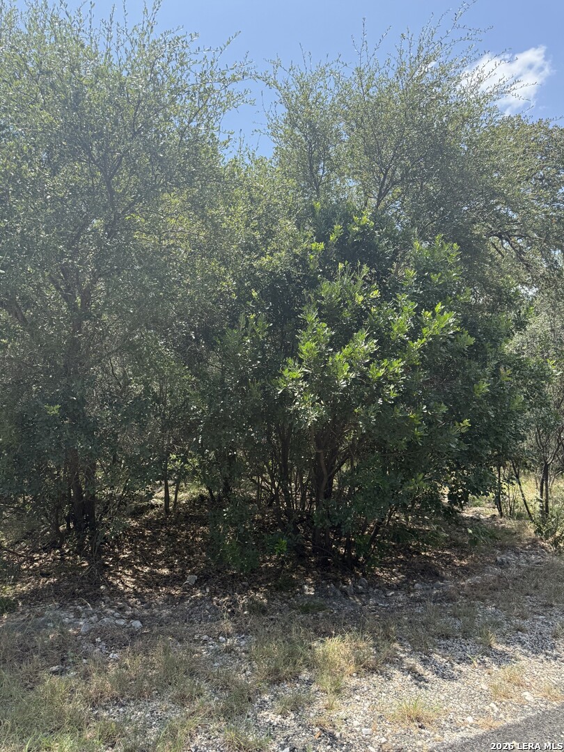 13518 Deer Meadow Lane San Antonio TX 78253