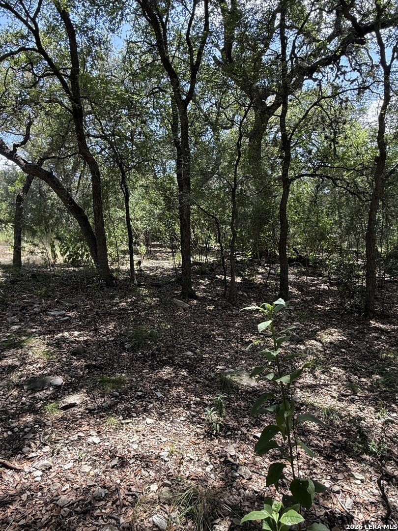 13518 Deer Meadow Lane San Antonio TX 78253