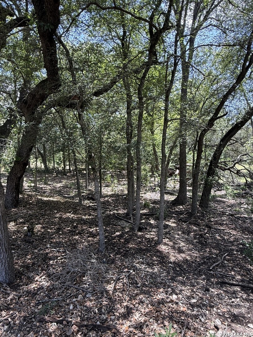 13518 Deer Meadow Lane San Antonio TX 78253
