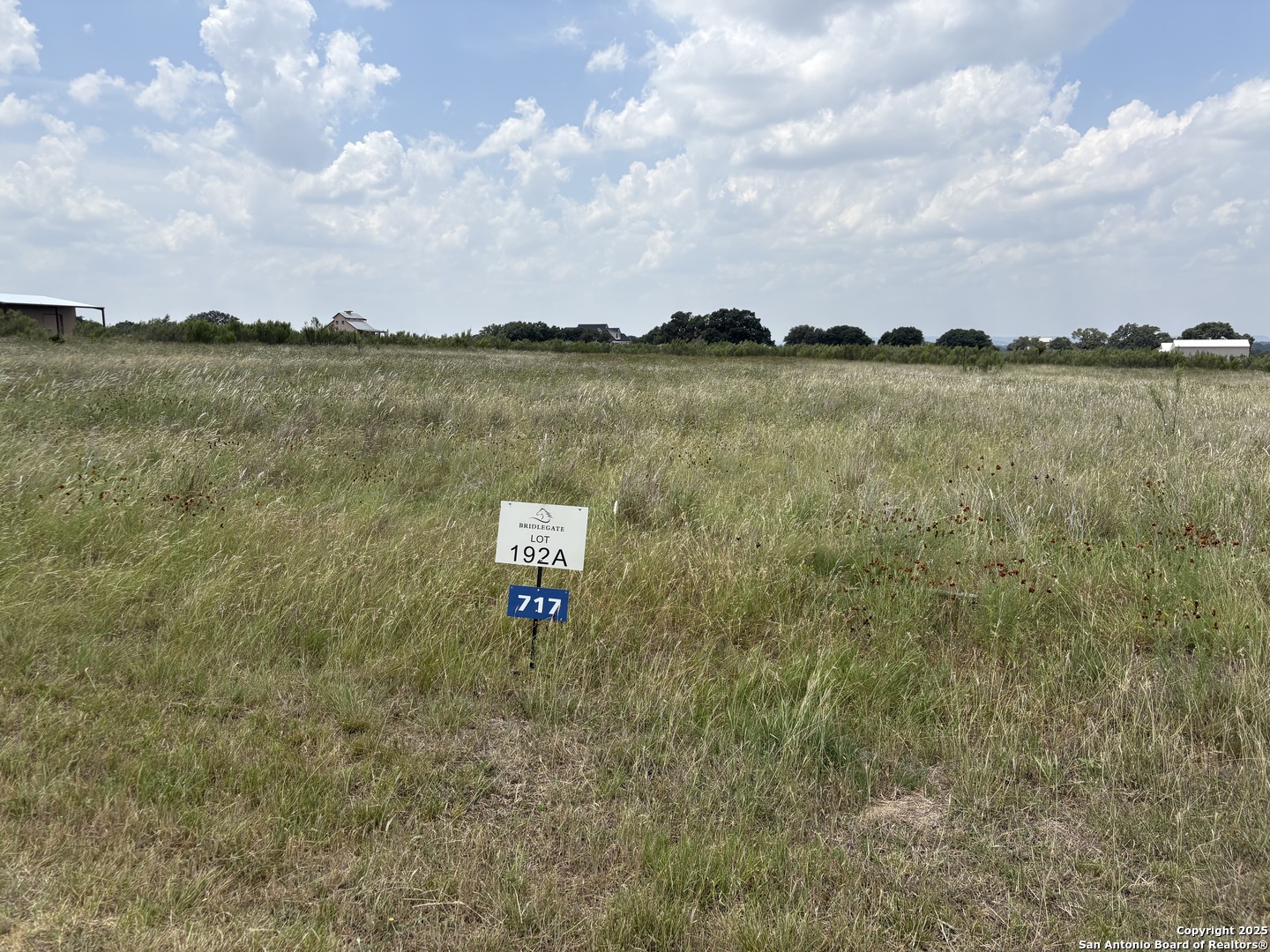 717 Palomino Springs Bandera TX 78003