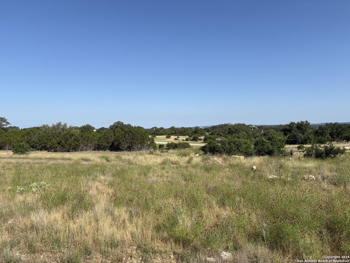 717 Palomino Springs Bandera TX 78003