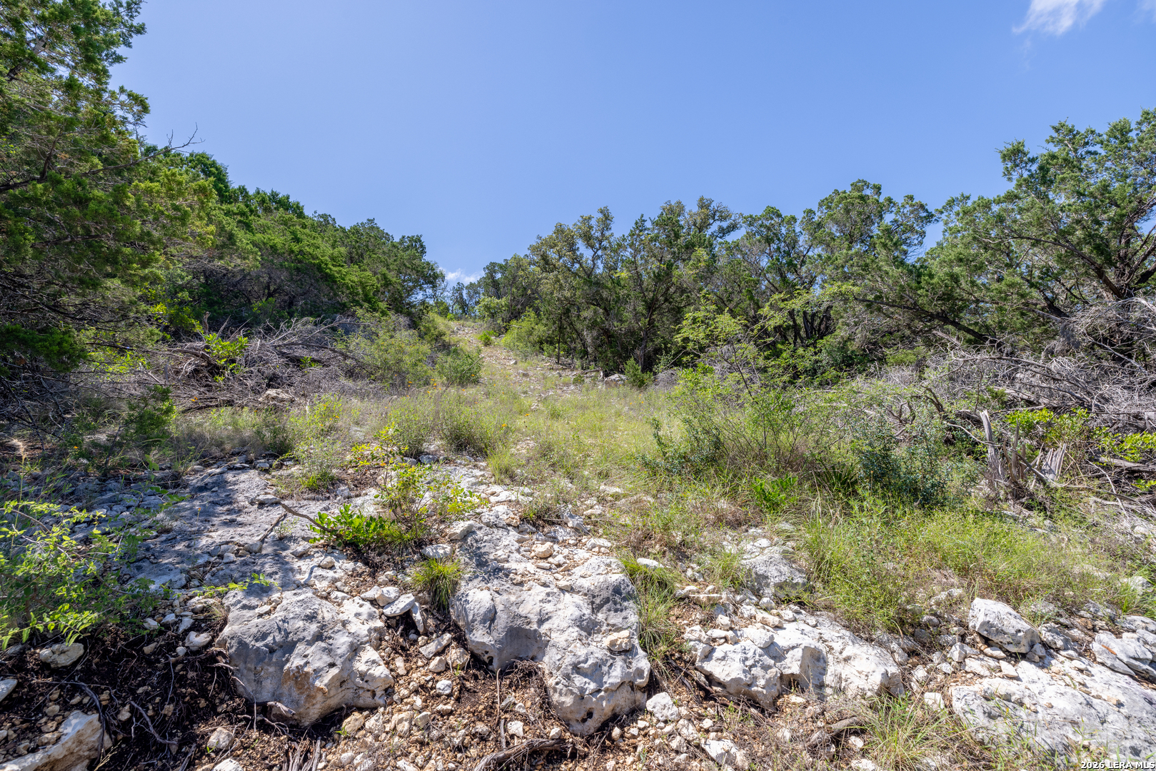 625 County Road 2763 Mico TX 78056