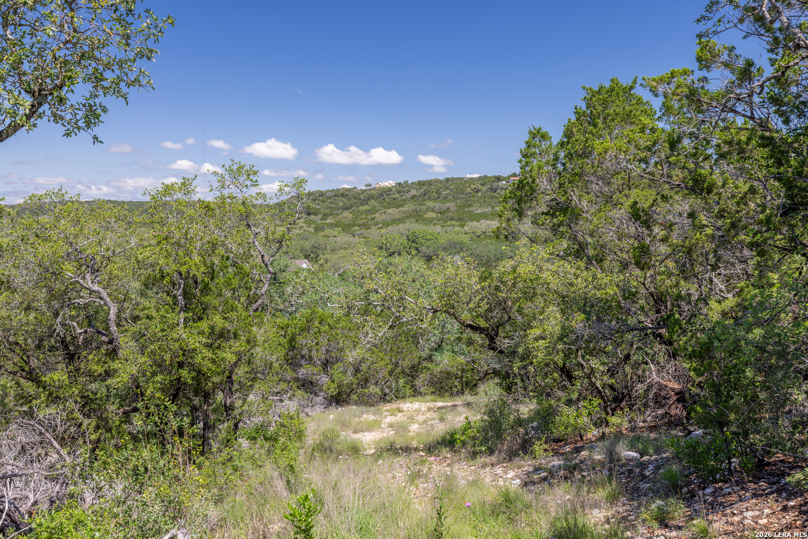 625 County Road 2763 Mico TX 78056