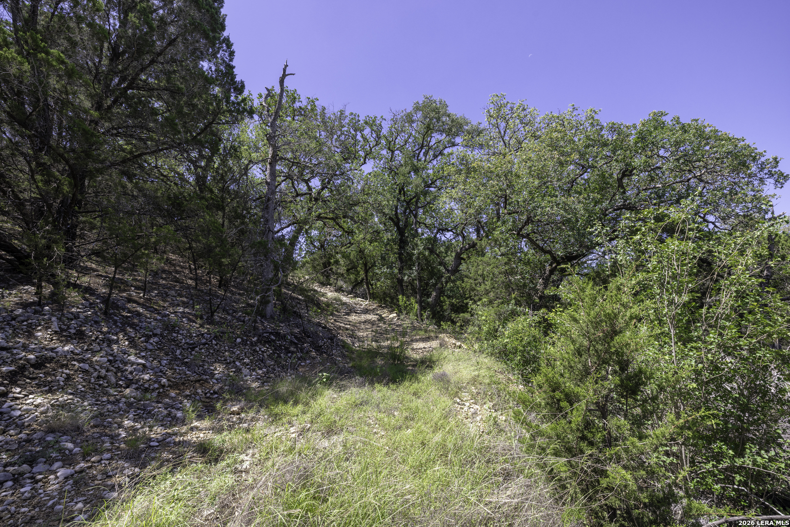 625 County Road 2763 Mico TX 78056