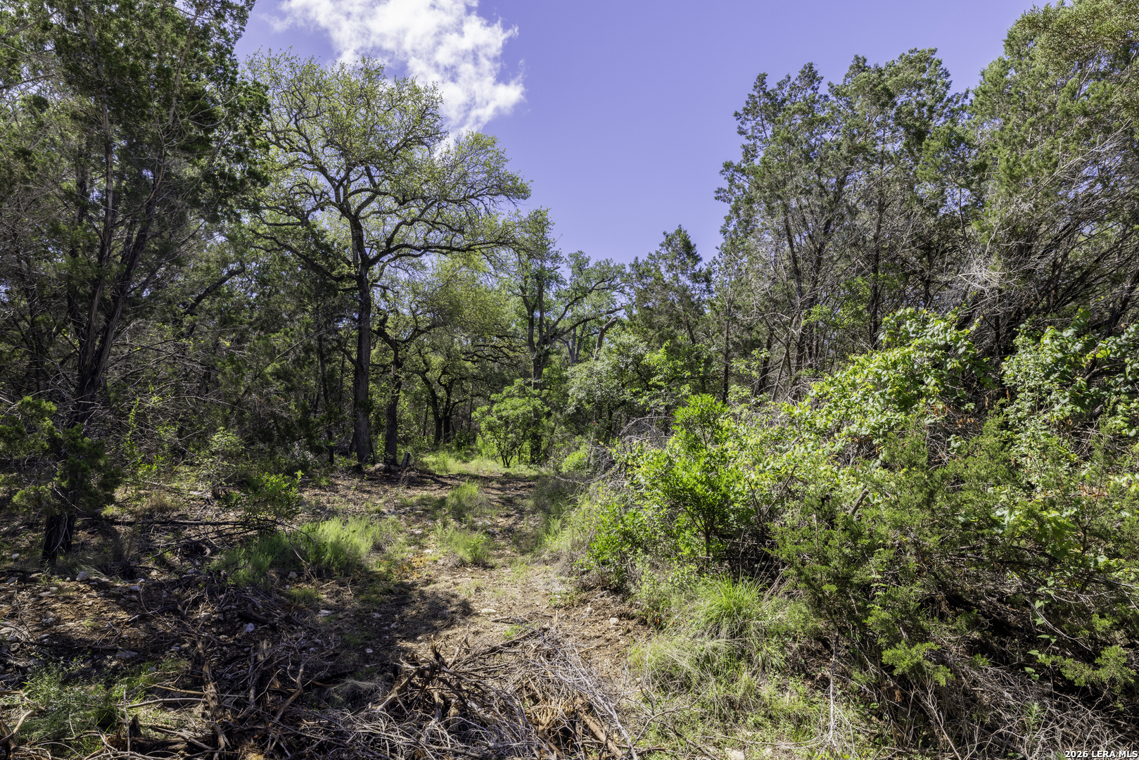 625 County Road 2763 Mico TX 78056