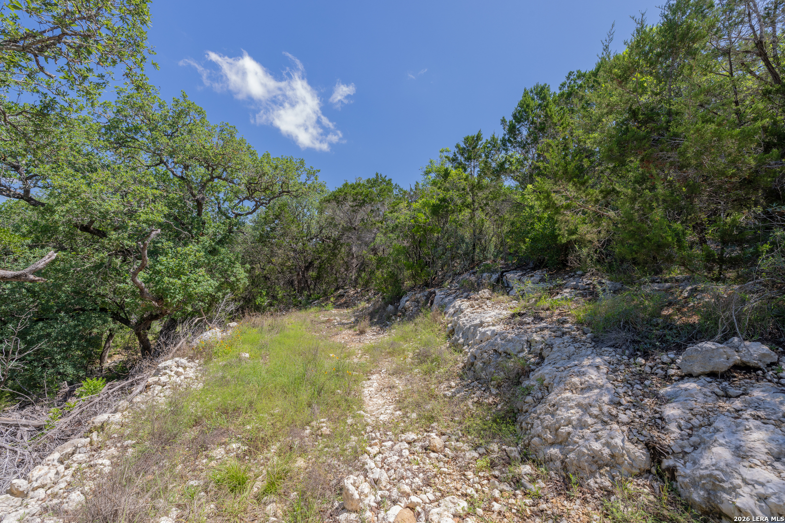 625 County Road 2763 Mico TX 78056