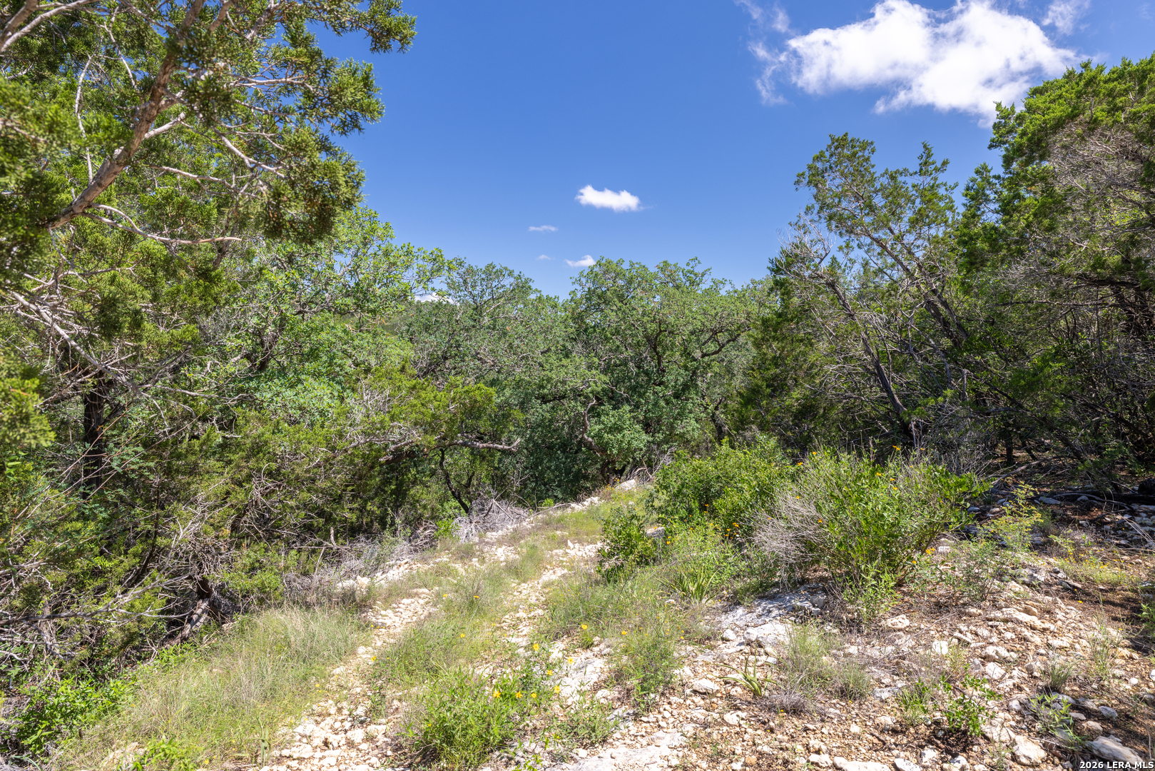 625 County Road 2763 Mico TX 78056