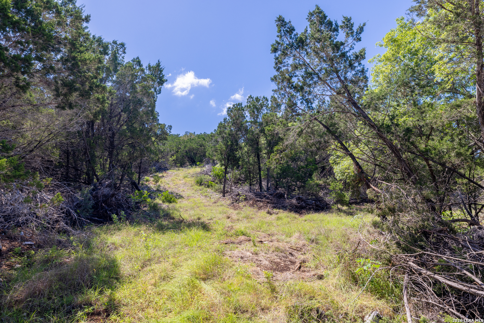 625 County Road 2763 Mico TX 78056